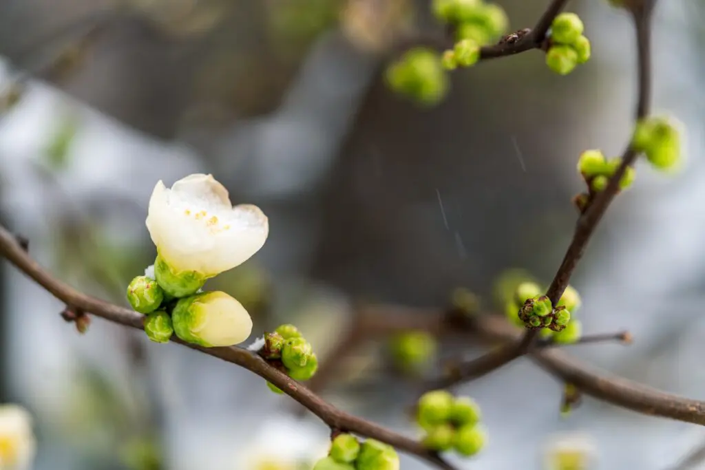 From potential to performance