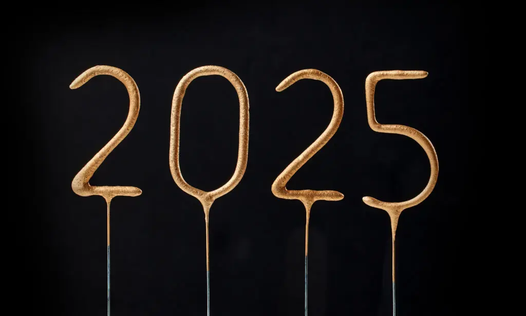 The image shows the numbers "2025" in a stylized, golden font on thin metal stakes, set against a black background.