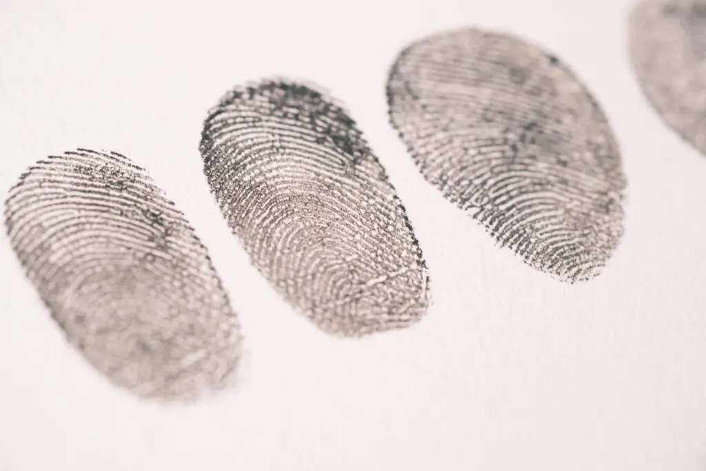 A close-up image of several inked fingerprints arranged in a row on a light background. The fingerprints display distinct patterns and ridges, showcasing the unique characteristics of each print.
