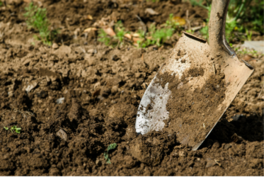 A close-up image of a metal shovel with a dirty blade, partially embedded in brown soil. The background shows loose dirt and small green plants.
